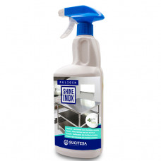 Detergente Puligen Shine Inox 750ml